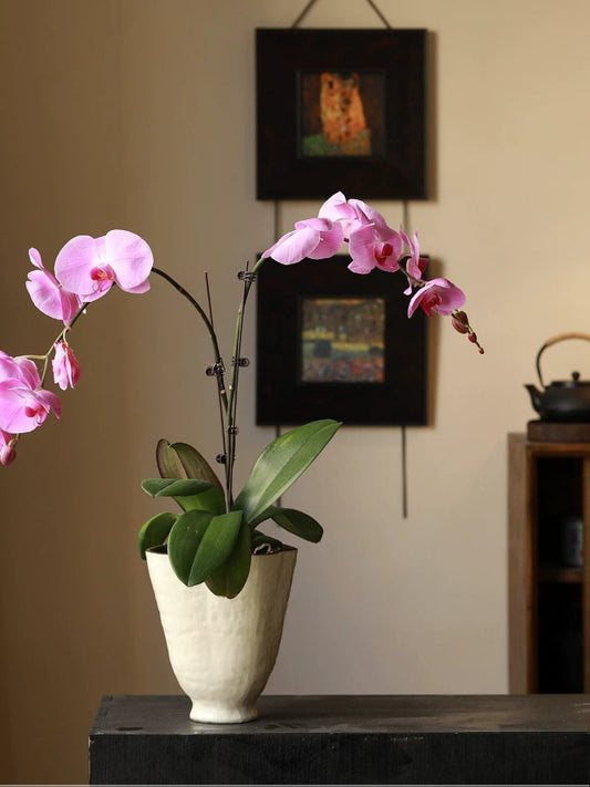 Jingdezhen Simple Breathable Ceramic Plant Pot for Indoor Home Decoration