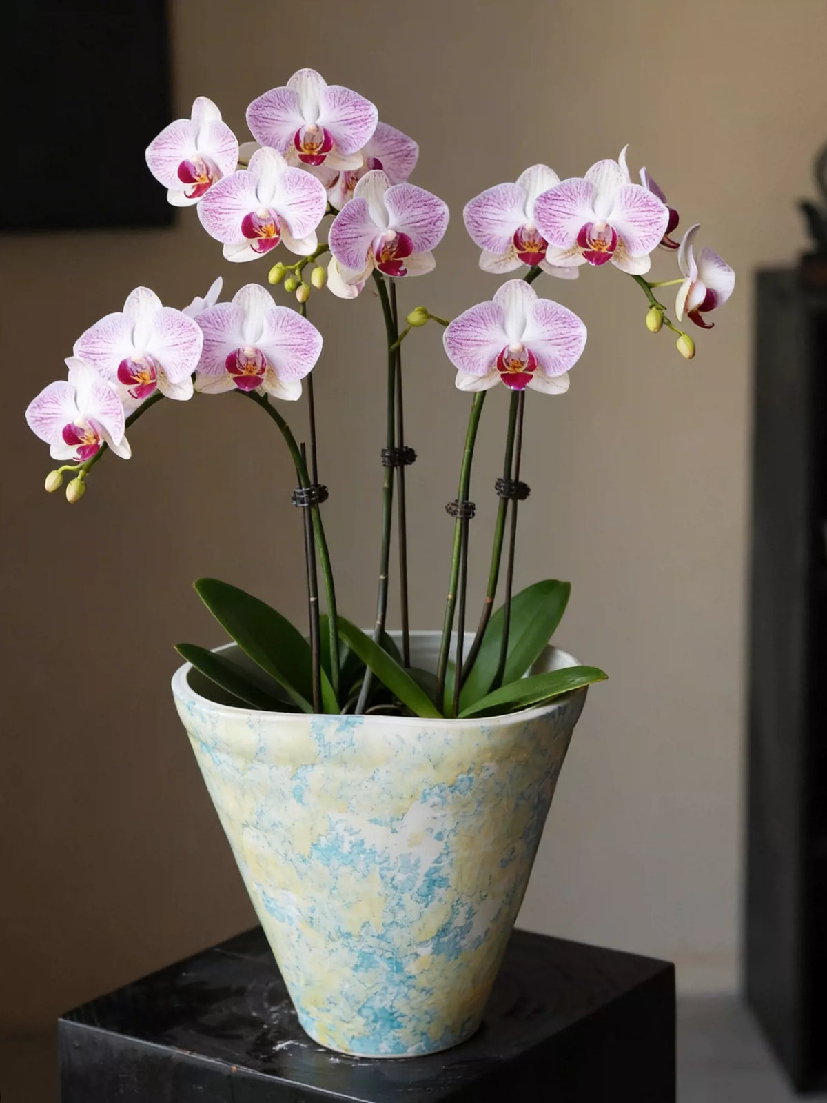 Handmade Jingdezhen Kiln Glaze Tapered Plant Pot For Home Floral Landscape Decor Gift
