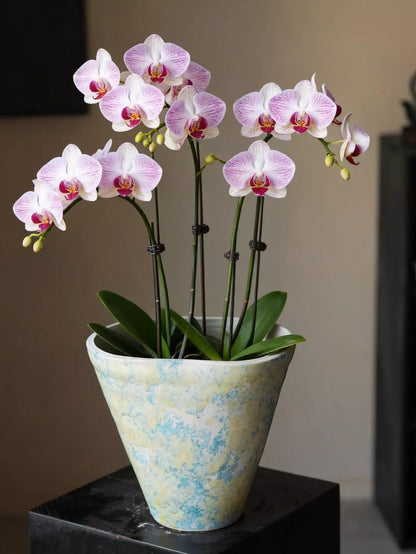 Handmade Jingdezhen Kiln Glaze Tapered Plant Pot For Home Floral Landscape Decor Gift