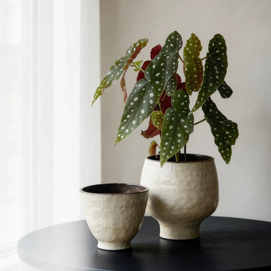 Minimalist Handmade Ceramic Flower Pot Small Desktop Vase Creative Home Decor